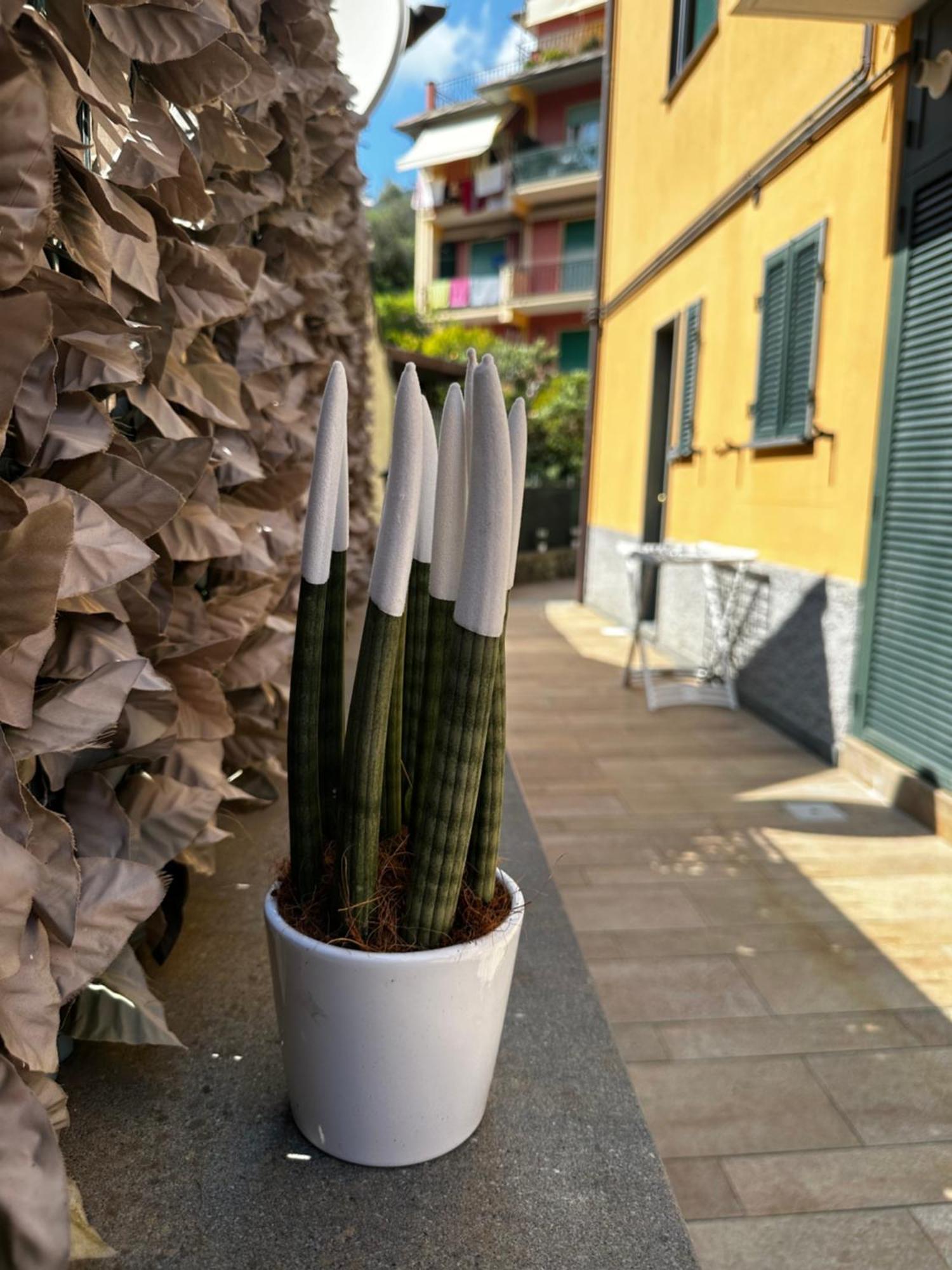 Camere Margot Monterosso al Mare Kültér fotó